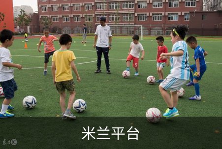关于米兰平台